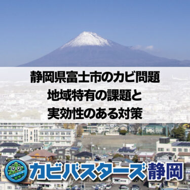 静岡県富士市のカビ問題：地域特有の課題と実効性のある対策