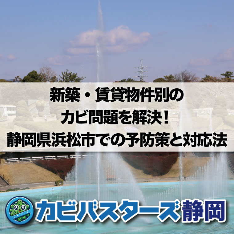 新築・賃貸物件別のカビ問題を解決！静岡県浜松市での予防策と対応法はカビバスターズ静岡