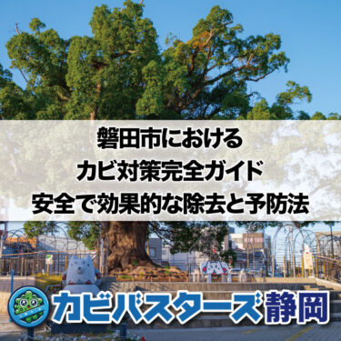 磐田市におけるカビ対策完全ガイド: 安全で効果的な除去と予防法