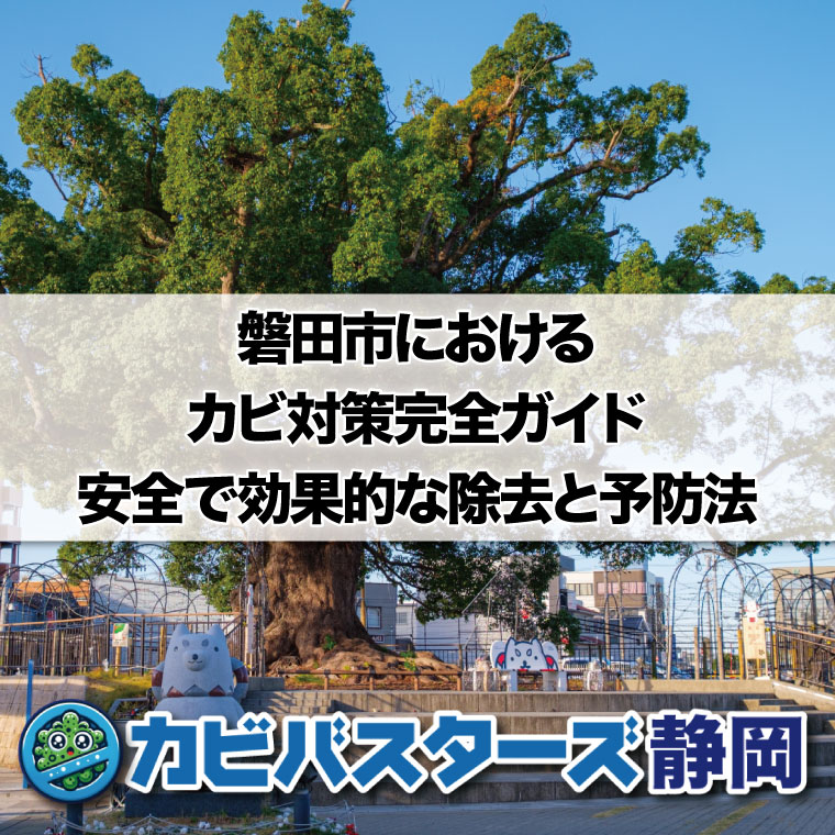 磐田市におけるカビ対策完全ガイド安全で効果的な除去と予防法はカビバスターズ静岡