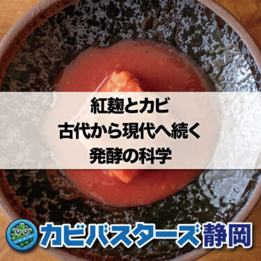 紅麹とカビ：古代から現代へ続く発酵の科学はカビバスターズ静岡