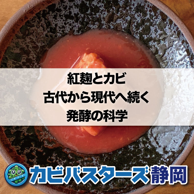 紅麹とカビ：古代から現代へ続く発酵の科学はカビバスターズ静岡