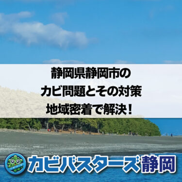 静岡県静岡市のカビ問題とその対策 – 地域密着で解決！