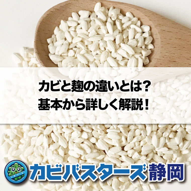 カビと麹の違いとは？基本から詳しく解説はカビバスターズ静岡