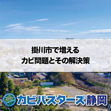 静岡県掛川市で増えるカビ問題とその解決策