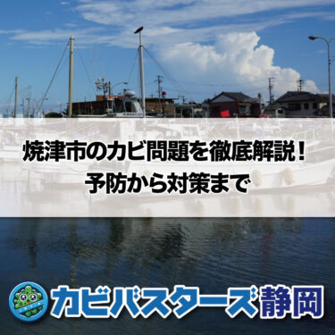 焼津市のカビ問題を徹底解説！予防から対策まで