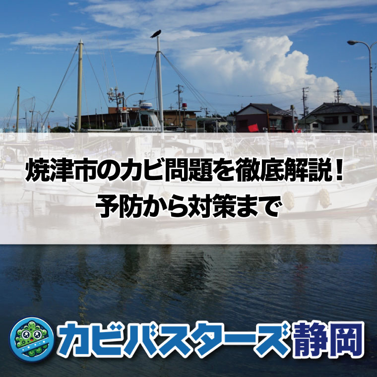 焼津市のカビ問題を徹底解説！予防から対策まではカビバスターズ静岡