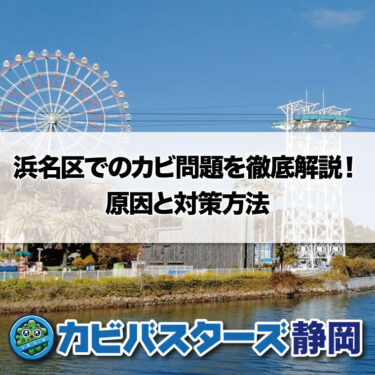 静岡市浜名区でのカビ問題を徹底解説！原因と対策方法