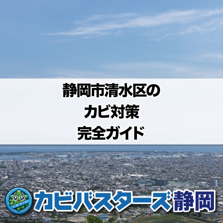 静岡市清水区のカビ対策完全ガイドはカビバスターズ静岡