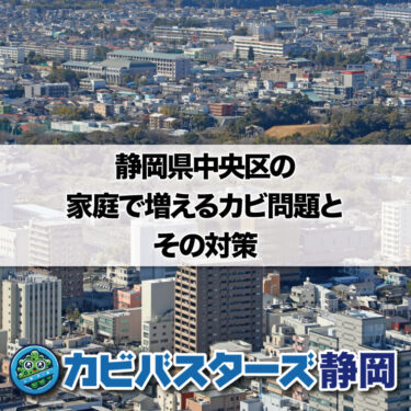 静岡県中央区の家庭で増えるカビ問題とその対策