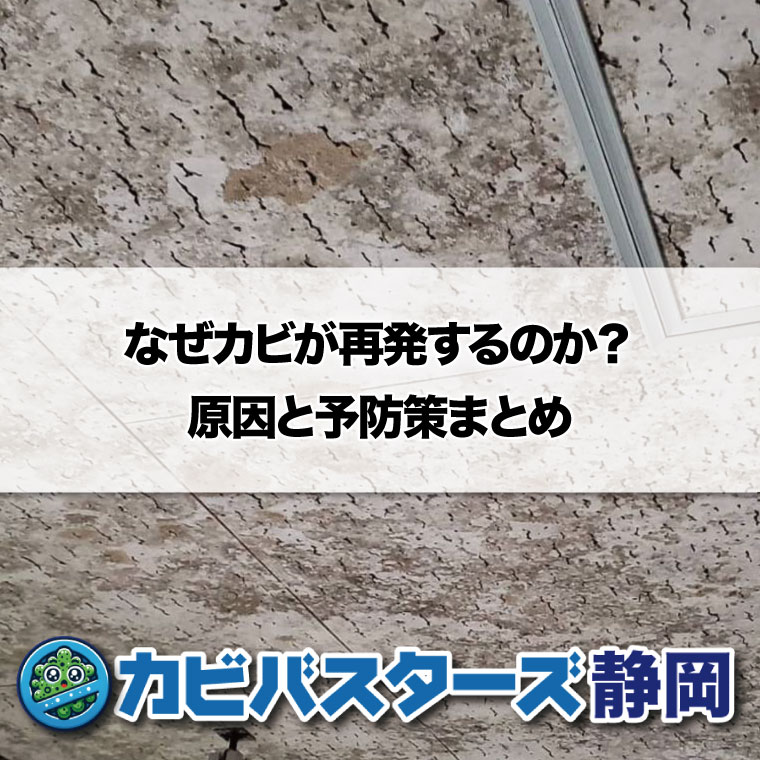 なぜカビが再発するのか?原因と予防策まとめ│カビ取り・カビ対策専門業者のカビバスターズ静岡