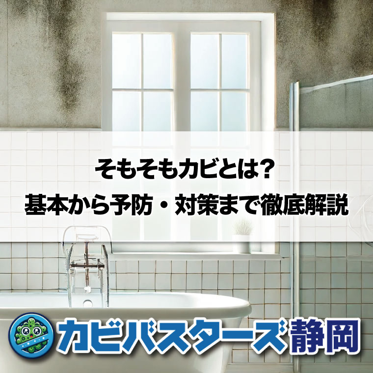 そもそもカビとは？カビについて徹底解説と予防方法カビ取りまではカビバスターズ静岡