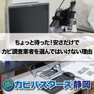 安さだけでカビ調査業者を選んではいけない理由：優良の業者との違い