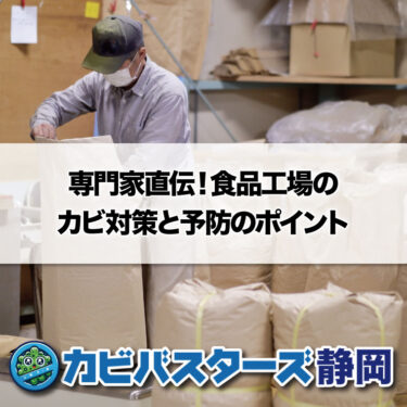 専門家直伝！食品工場のカビ対策と予防のポイントはカビバスターズ静岡