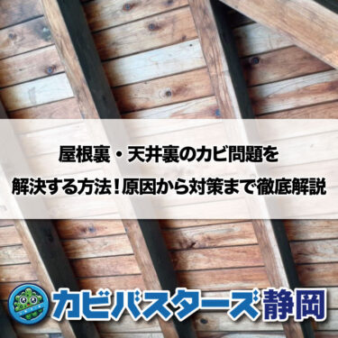 屋根裏・天井裏のカビ問題を解決する方法！原因から対策まで徹底解説