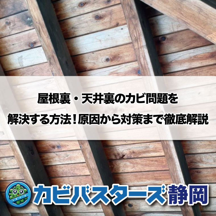 屋根裏・天井裏のカビ問題を解決する方法！原因から対策まで徹底解説はカビバスターズ静岡