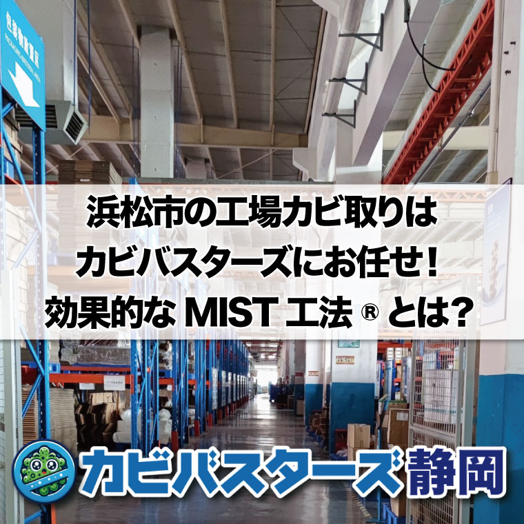 浜松市の工場カビ取りはカビバスターズにお任せ！効果的なMIST工法®とは？