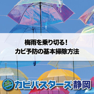 雨でジメジメ…気になるカビ…梅雨を乗り切る！カビ予防の基本掃除方法