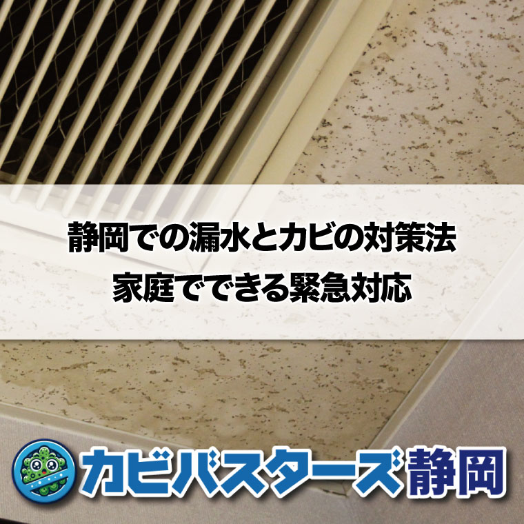 静岡での漏水とカビの対策法：家庭でできる緊急対応はカビバスターズ