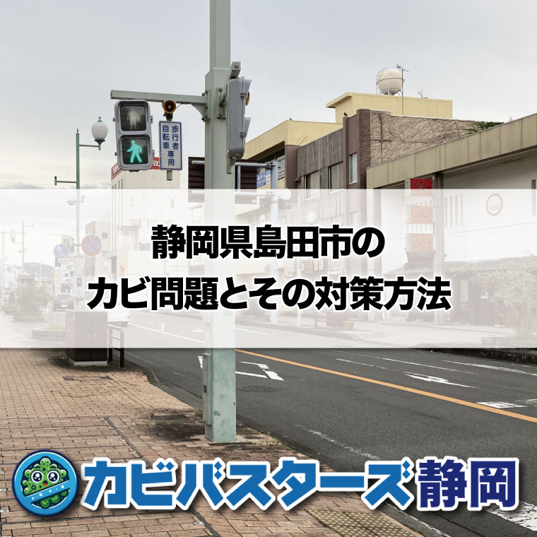 静岡県島田市のカビ問題とその対策方法はカビバスターズ静岡