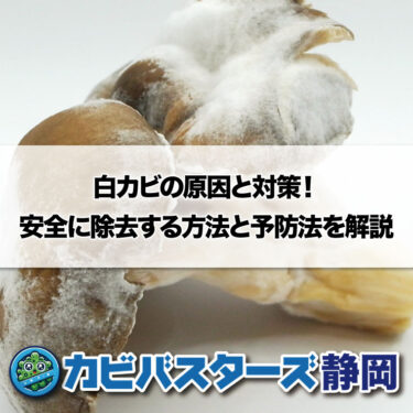 白カビの原因と対策!安全に除去する方法と予防法を解説│カビ取り・カビ対策専門業者のカビバスターズ静岡
