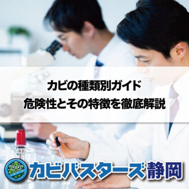 カビの種類別ガイド：危険性とその特徴を徹底解説