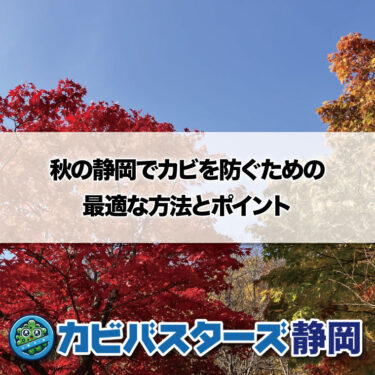 秋の静岡でカビを防ぐための最適な方法とポイント