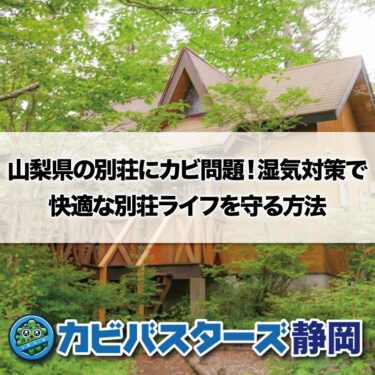 山梨県の別荘にカビ問題！湿気対策で快適な別荘ライフを守る方法