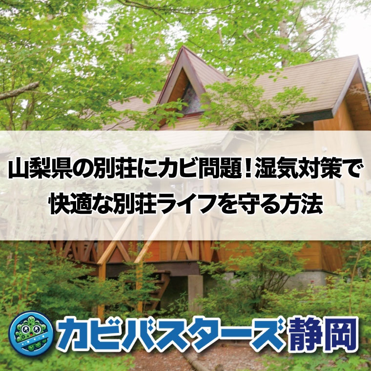 山梨県の別荘にカビ問題！湿気対策で快適な別荘ライフを守る方法はカビバスターズ静岡