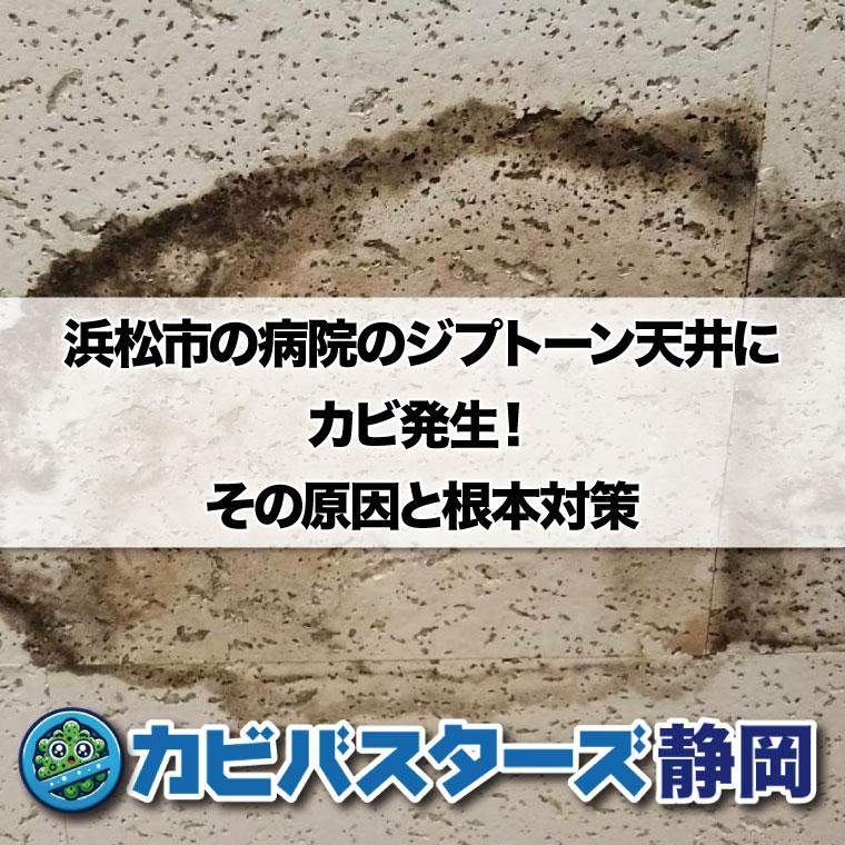 浜松市の病院のジプトーン天井にカビ発生！その原因と根本対策はカビバスターズ静岡