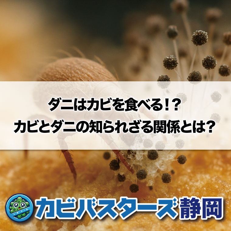 ダニはカビを食べることについて開設　カビバスターズ静岡