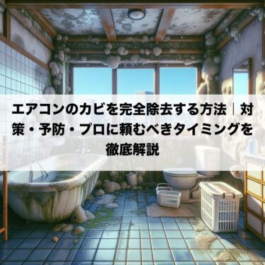 エアコンのカビを完全除去する方法｜対策・予防・プロに頼むべきタイミングを徹底解説