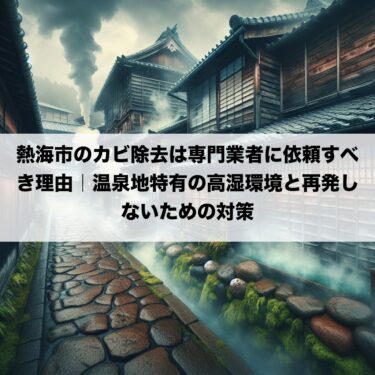 熱海市のカビ除去は専門業者に依頼すべき理由｜温泉地特有の高湿環境と再発しないための対策