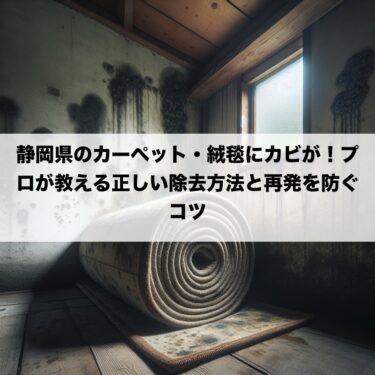 静岡県のカーペット・絨毯にカビが！プロが教える正しい除去方法と再発を防ぐコツ