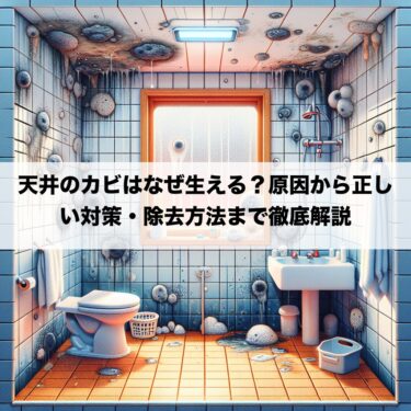 天井のカビはなぜ生える？原因から正しい対策・除去方法まで徹底解説