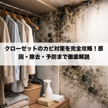 クローゼットのカビ対策を完全攻略！原因・除去・予防まで徹底解説