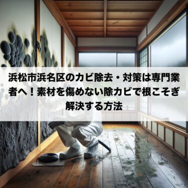 浜松市浜名区のカビ除去・対策は専門業者へ！素材を傷めない除カビで根こそぎ解決する方法