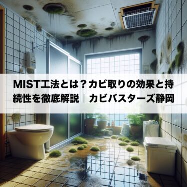 MIST工法とは？カビ取りの効果と持続性を徹底解説｜カビバスターズ静岡