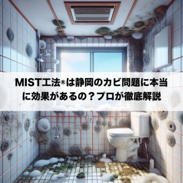 MIST工法®は静岡のカビ問題に本当に効果があるの？プロが徹底解説