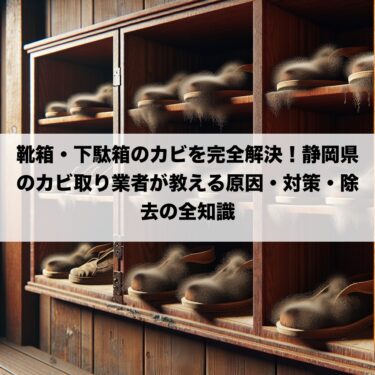 靴箱・下駄箱のカビを完全解決！静岡県のカビ取り業者が教える原因・対策・除去の全知識