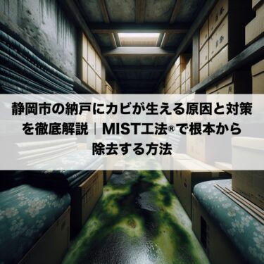 静岡市の納戸にカビが生える原因と対策を徹底解説｜MIST工法®で根本から除去する方法