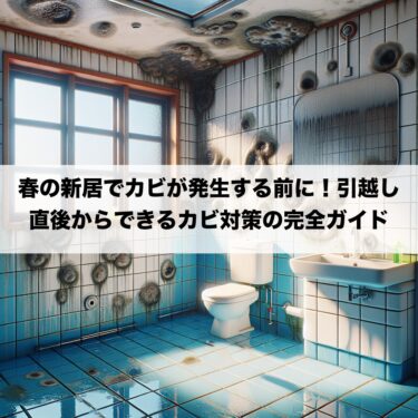 春の新居でカビが発生する前に！引越し直後からできるカビ対策の完全ガイド