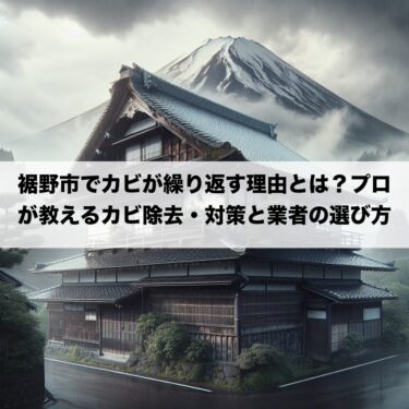 裾野市でカビが繰り返す理由とは？プロが教えるカビ除去・対策と業者の選び方