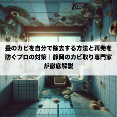 畳のカビを自分で除去する方法と再発を防ぐプロの対策｜静岡のカビ取り専門家が徹底解説