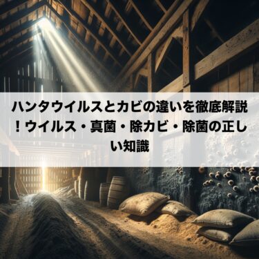 ハンタウイルスとカビの違いを徹底解説！ウイルス・真菌・除カビ・除菌の正しい知識