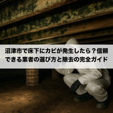 沼津市で床下にカビが発生したら？信頼できる業者の選び方と除去の完全ガイド
