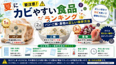 夏にカビやすい食品ランキング｜パン・ご飯・果物の正しい保存方法