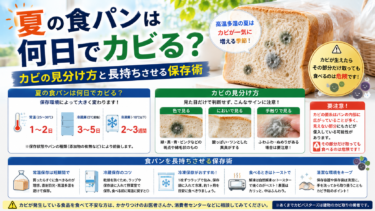 夏の食パンは何日でカビる？カビの見分け方と長持ちさせる保存術