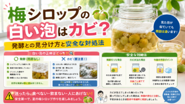 梅シロップの白い泡はカビ？発酵との見分け方と安全な対処法