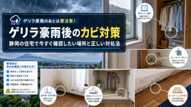 ゲリラ豪雨後のカビ対策｜静岡の住宅で今すぐ確認したい場所と正しい対処法